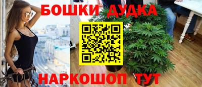 МДПВ Гай
