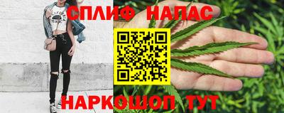 бошки Гатчина