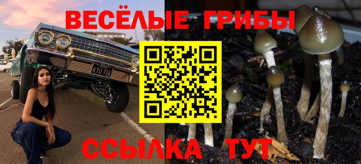 Псилоцибиновые грибы мухоморы Корсаков