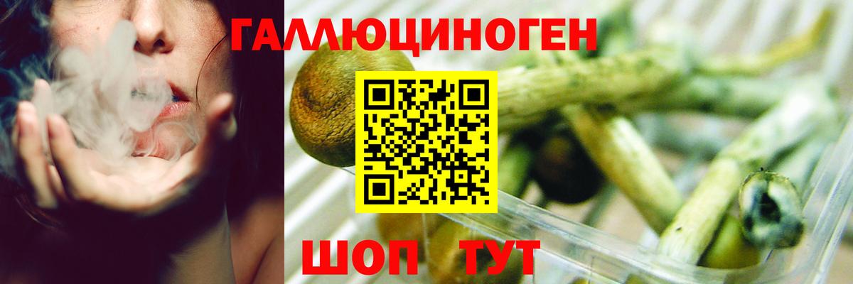 Псилоцибиновые грибы мухоморы  Вход с VPN  Корсаков 