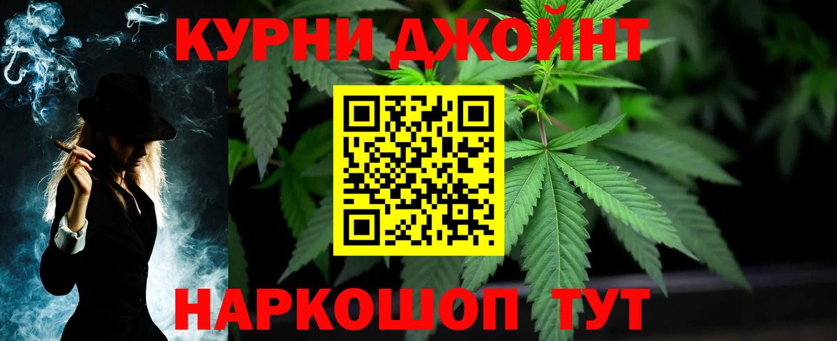 Канабис сатива Корсаков